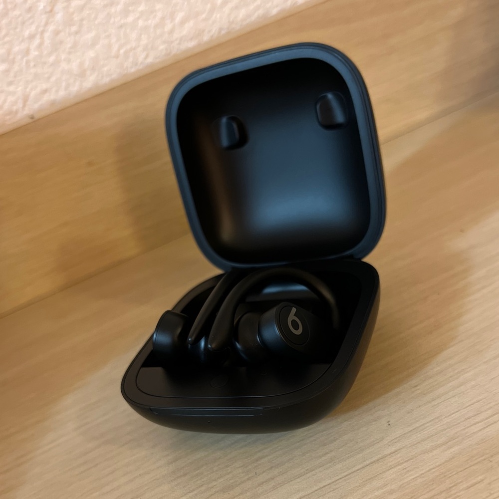 COPY - *NWOT* Powerbeats Pro Totally Wireless